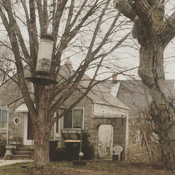 There are 5 things I want you to know about transition coaching. One is that it&rsquo;s usually about 20% revelation, 80% perspiration. 

Bushy, my neighborhood squirrel, reminds us to keep leaping to action after our &ldquo;aha&rdquo; coaching momen