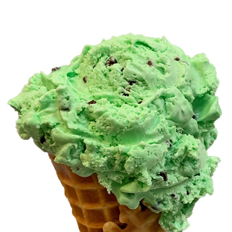 MINT CHOCOLATE CHIP