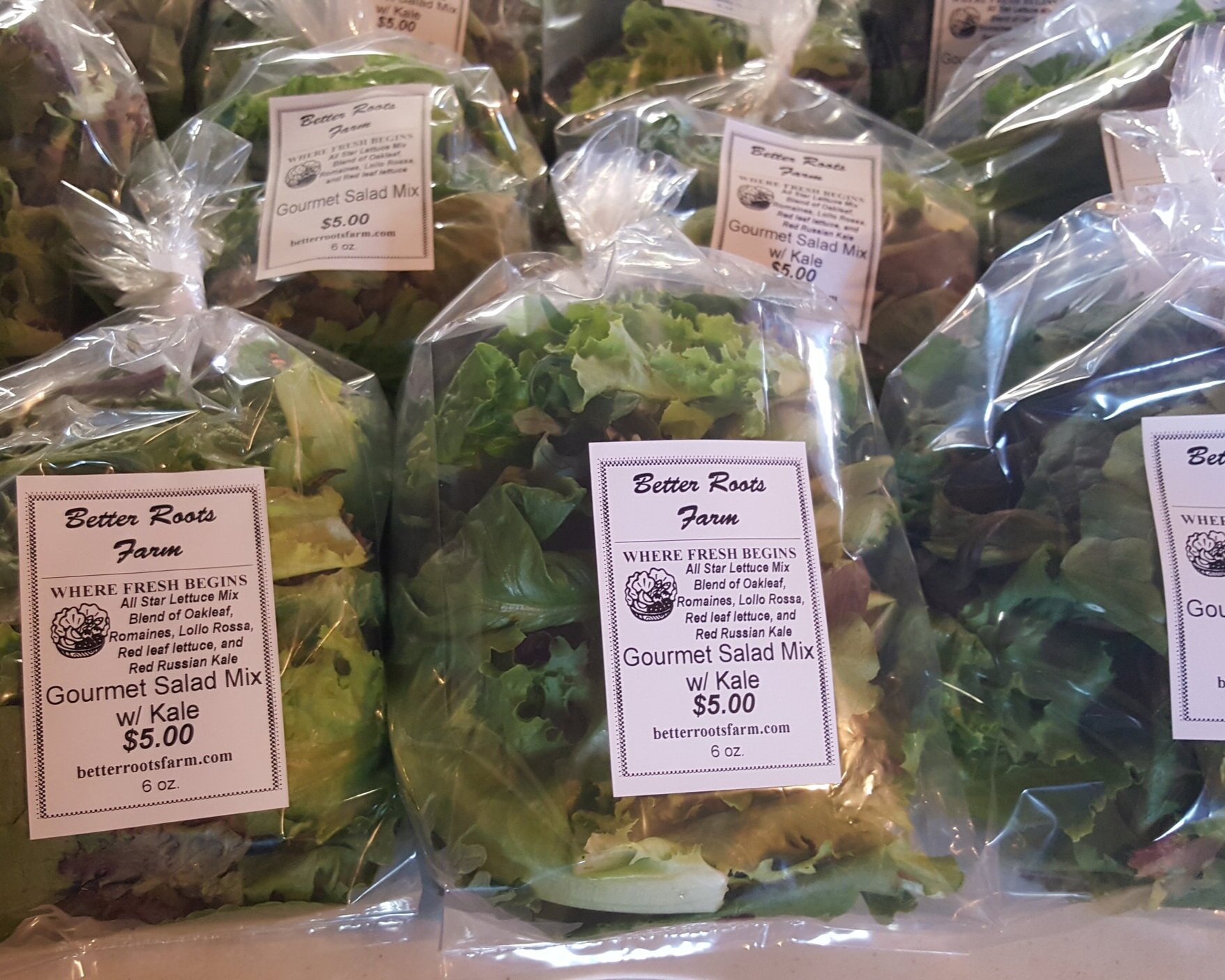Better+Roots+Farm%2C+LLC+South+Dakota+-+salad+bags.jpg