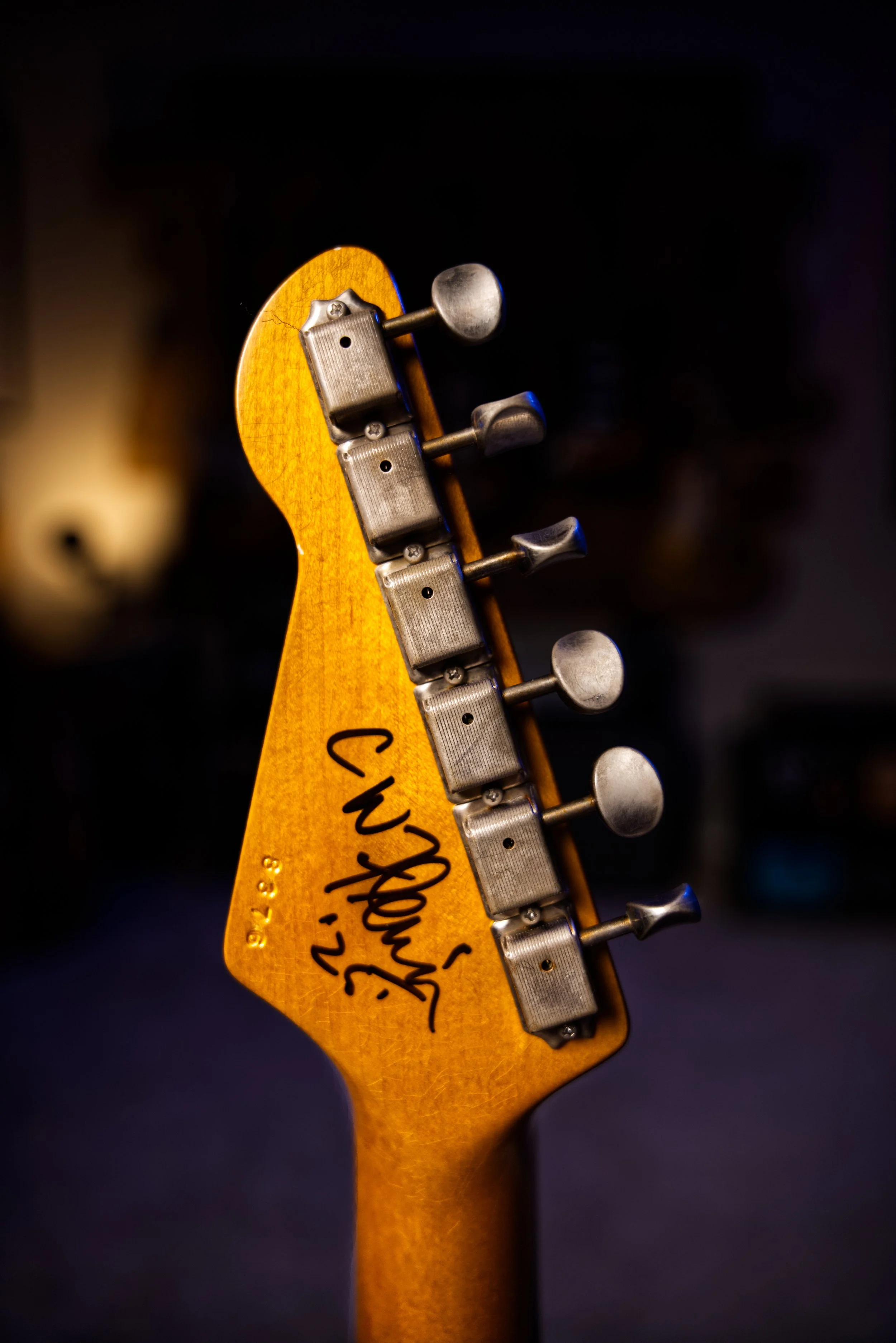 Chris Fleming Series Signed Headstock