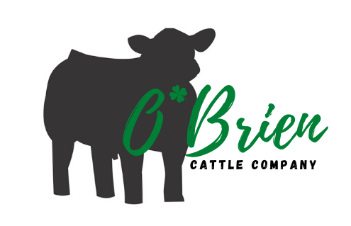 O&#39;Brien Cattle Company