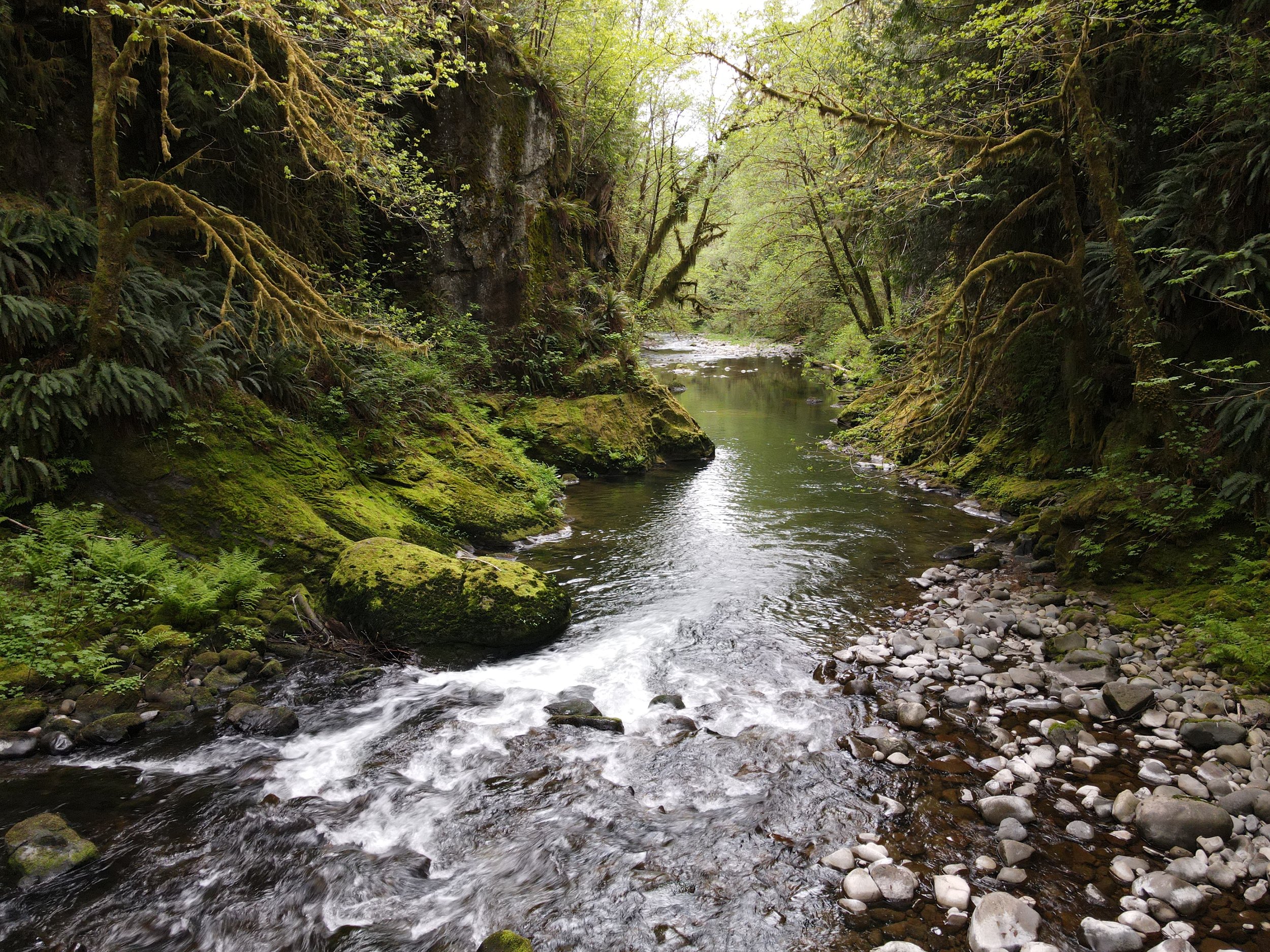 Snahapish_20210505 (6).JPG