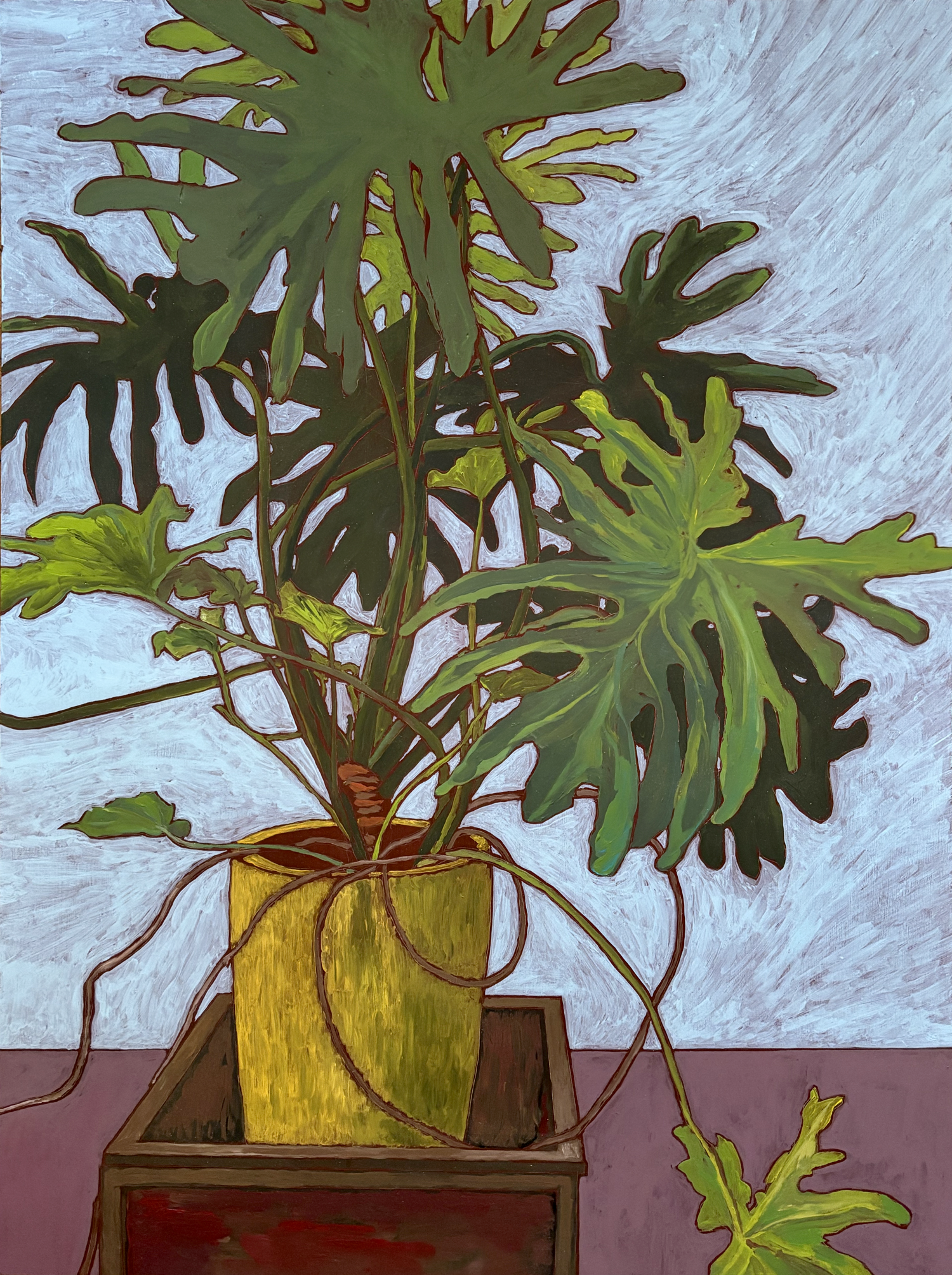 philodendron-1500.png