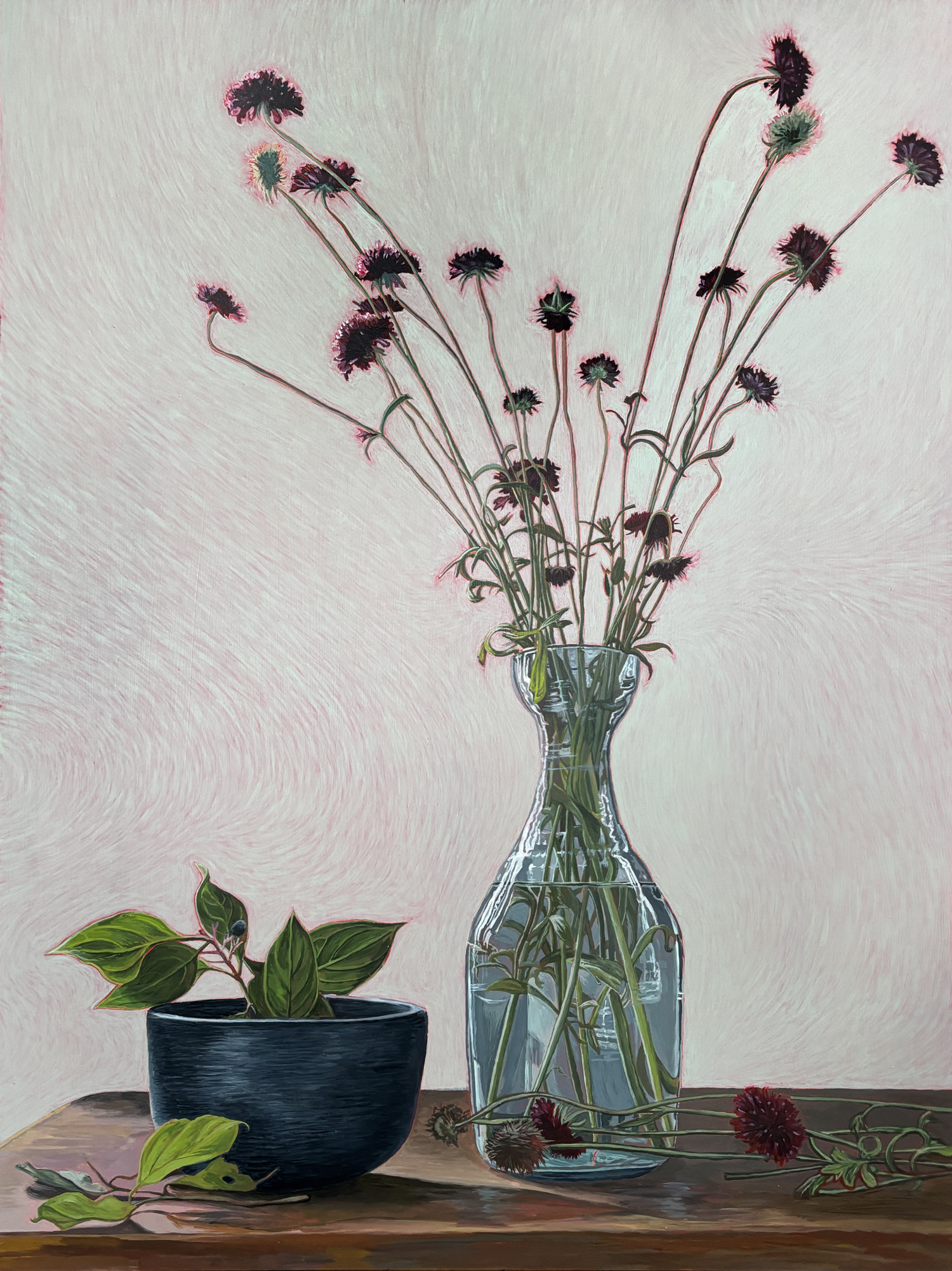 purple-sanicle-1500.png