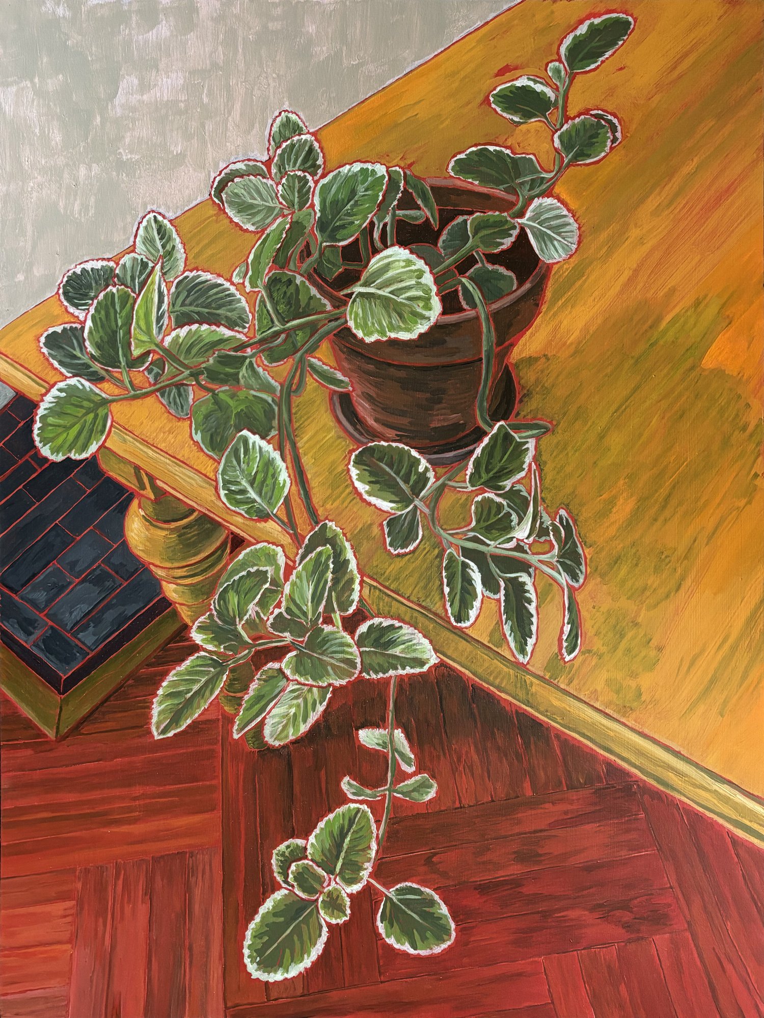 oregano-plant-1500.jpg