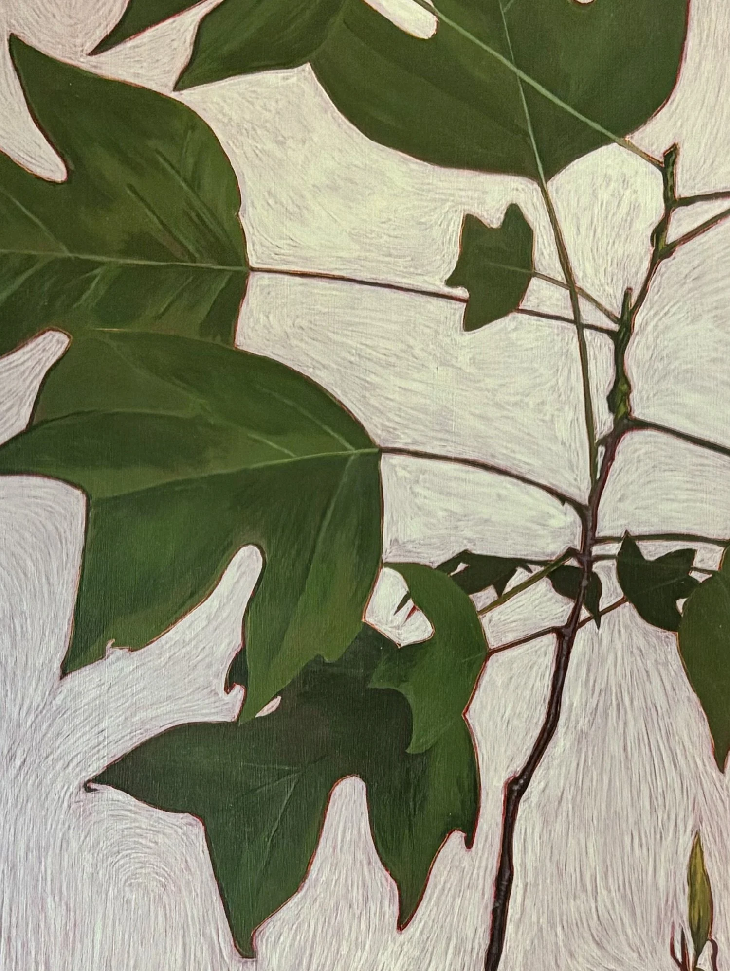 tulip-leaves-1500-detail.jpg