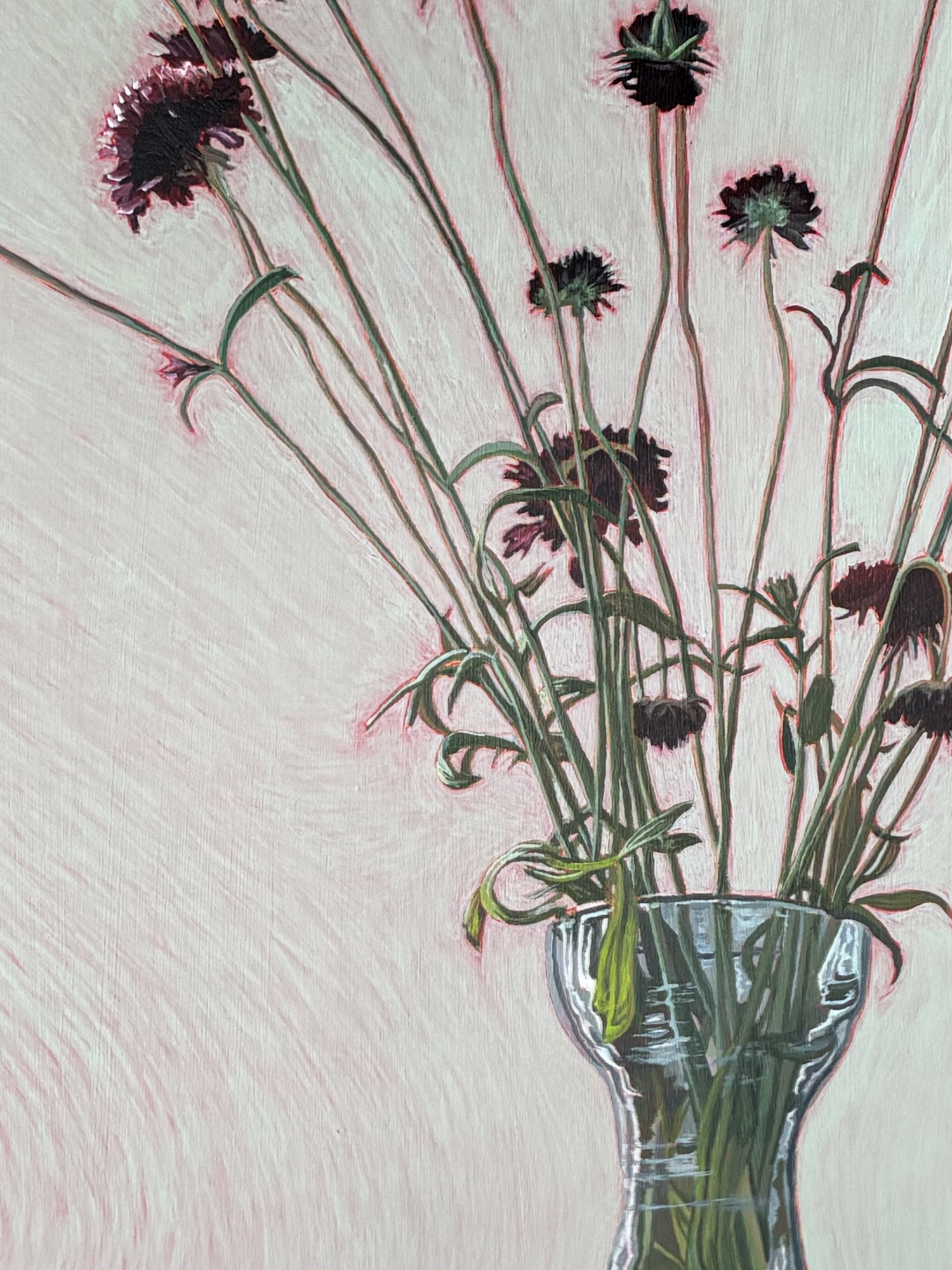 purple-sanicle-1500-detail.png