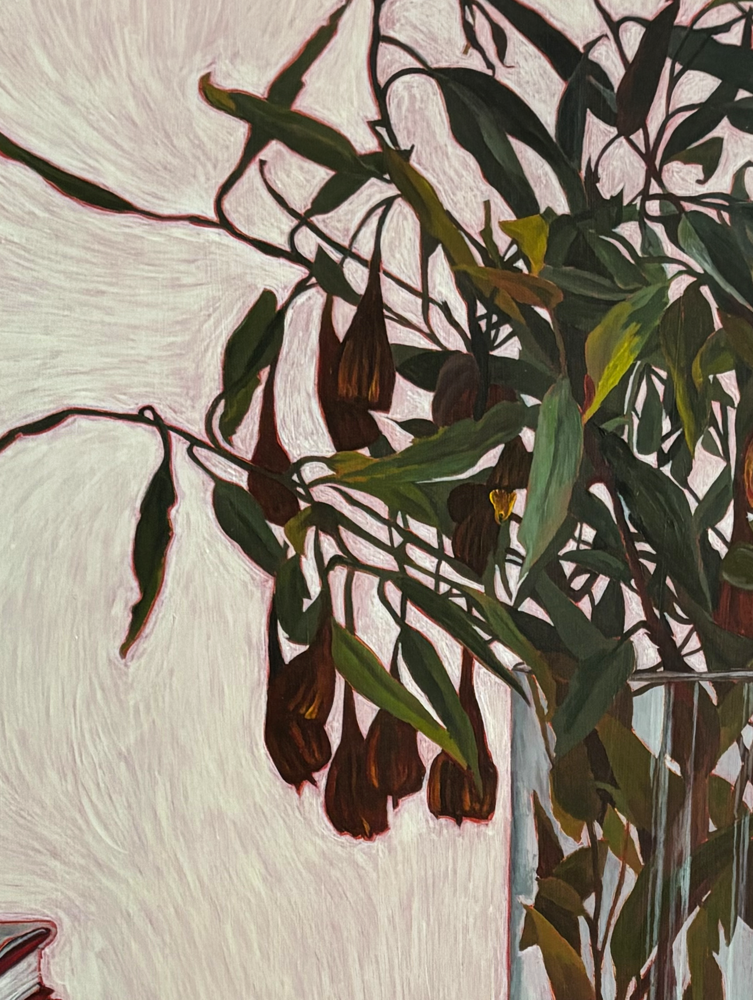 eucalyptus-detail.png