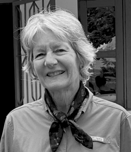 Rebecca Hartwig,
RN, DSP, MSN