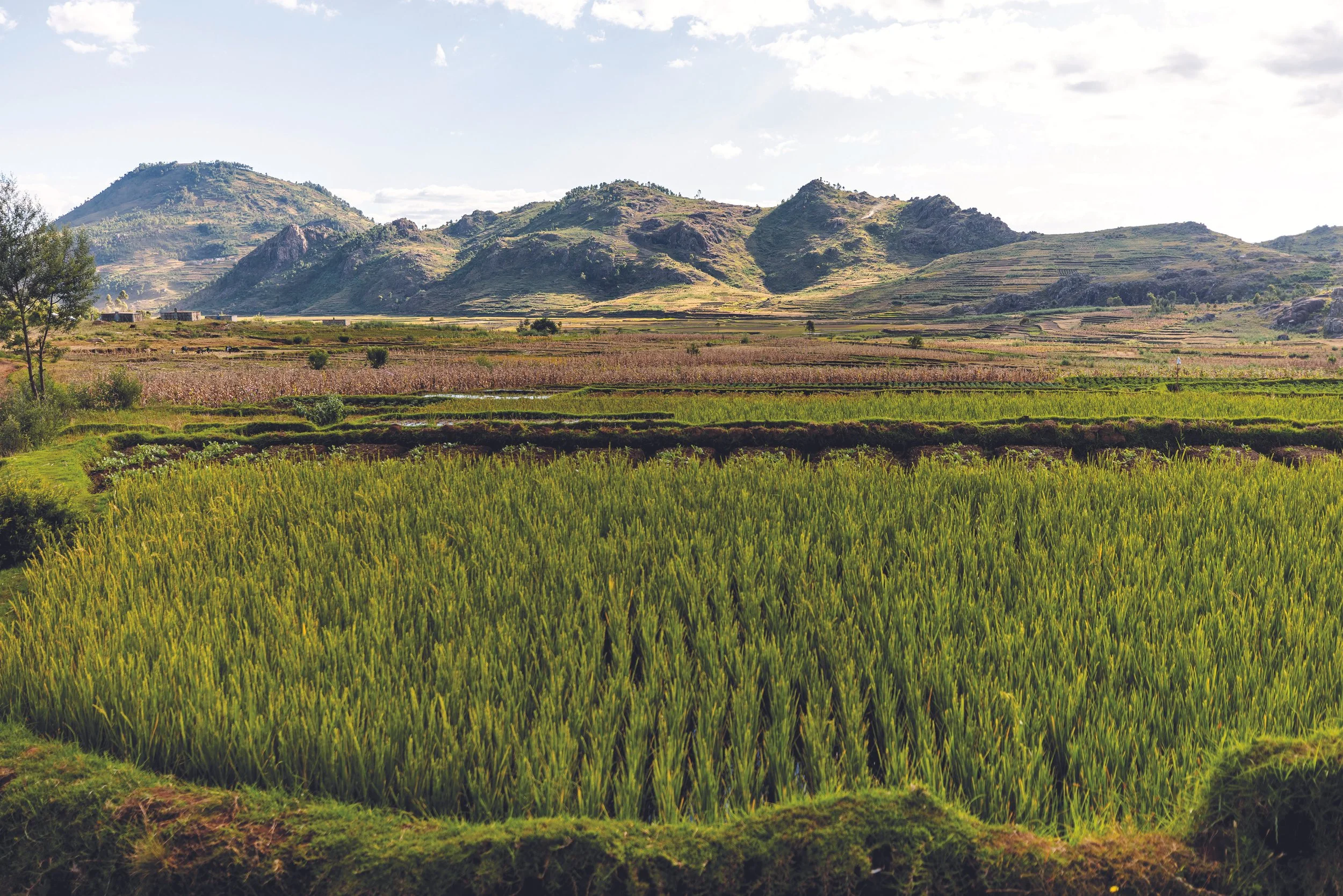 Your Support in Action: Madagascar Water &amp; Agriculture Update