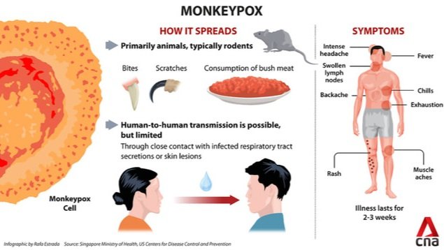 Explainer: What to Know About Monkeypox - Visual Capitalist