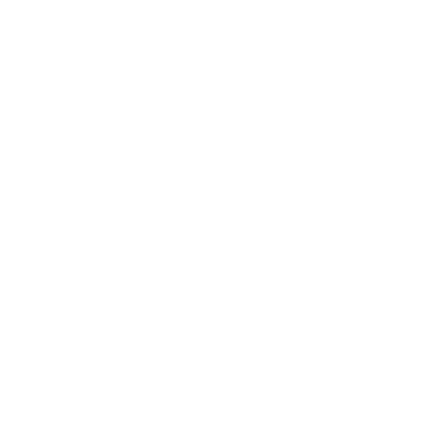 Bridges: Friends of Internationals