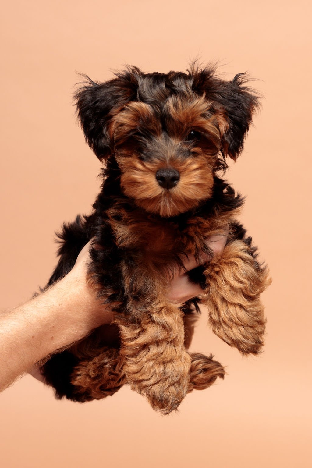 Twix-14.jpg