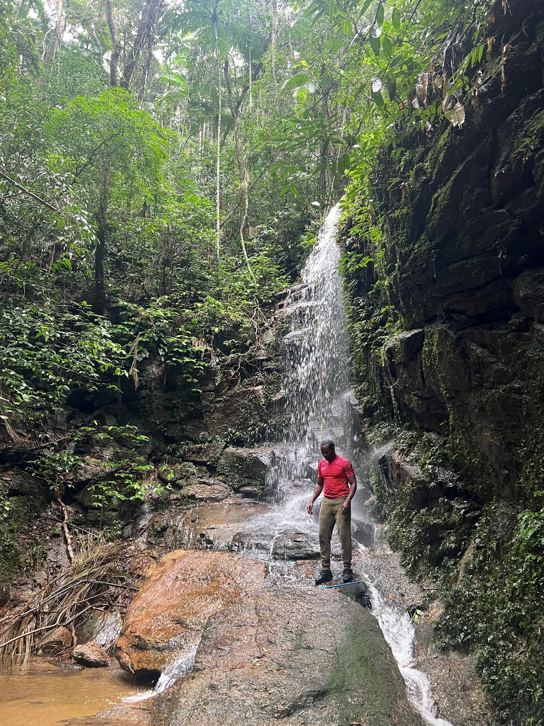  It was all a̶ ̶d̶r̶e̶a̶m̶ TRUE