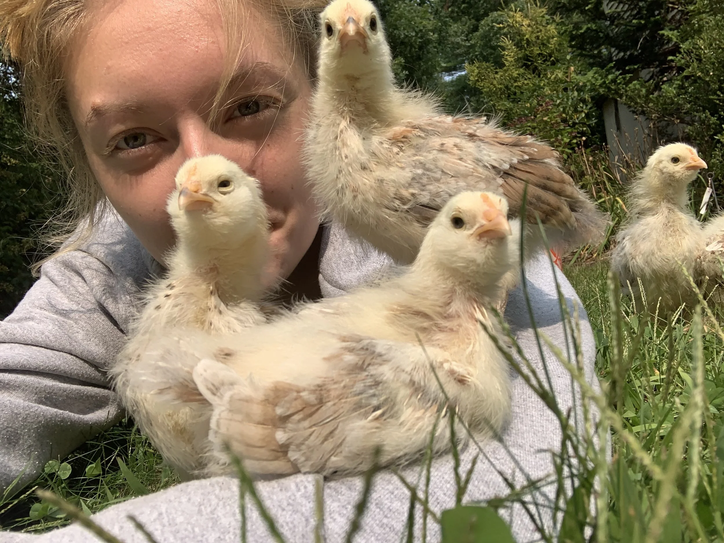 Chickie cuddles
