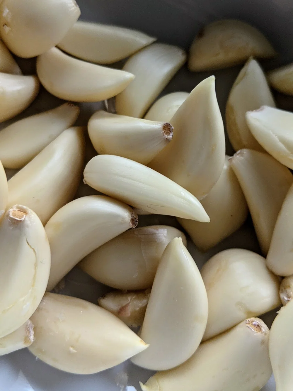 raw garlic.jpg