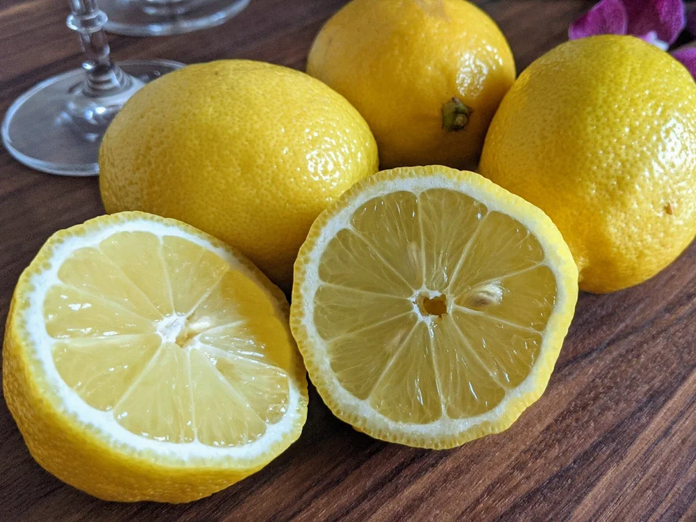 lemons.jpeg