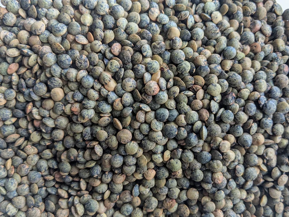 lentils.jpeg