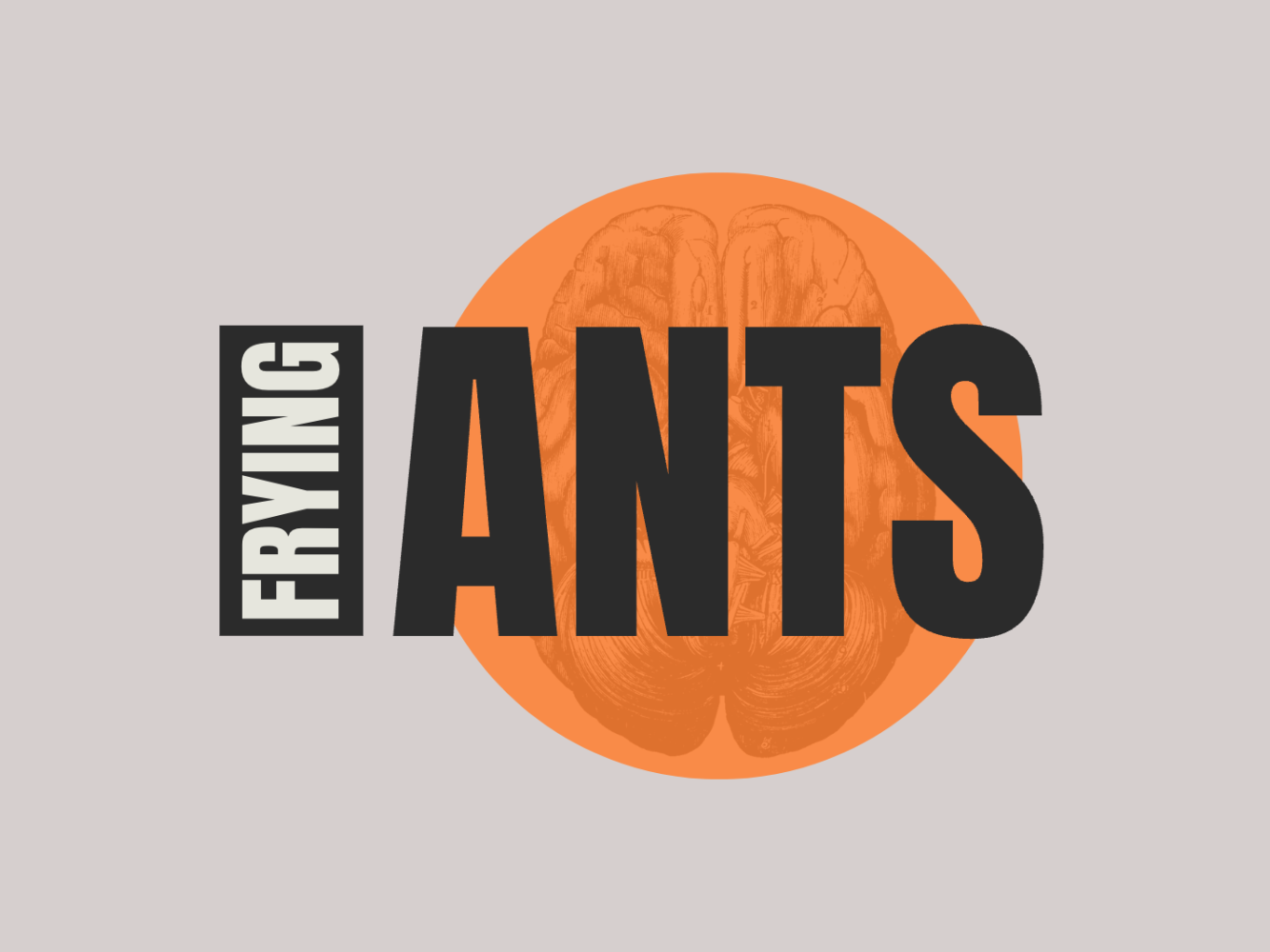 Frying ANTS