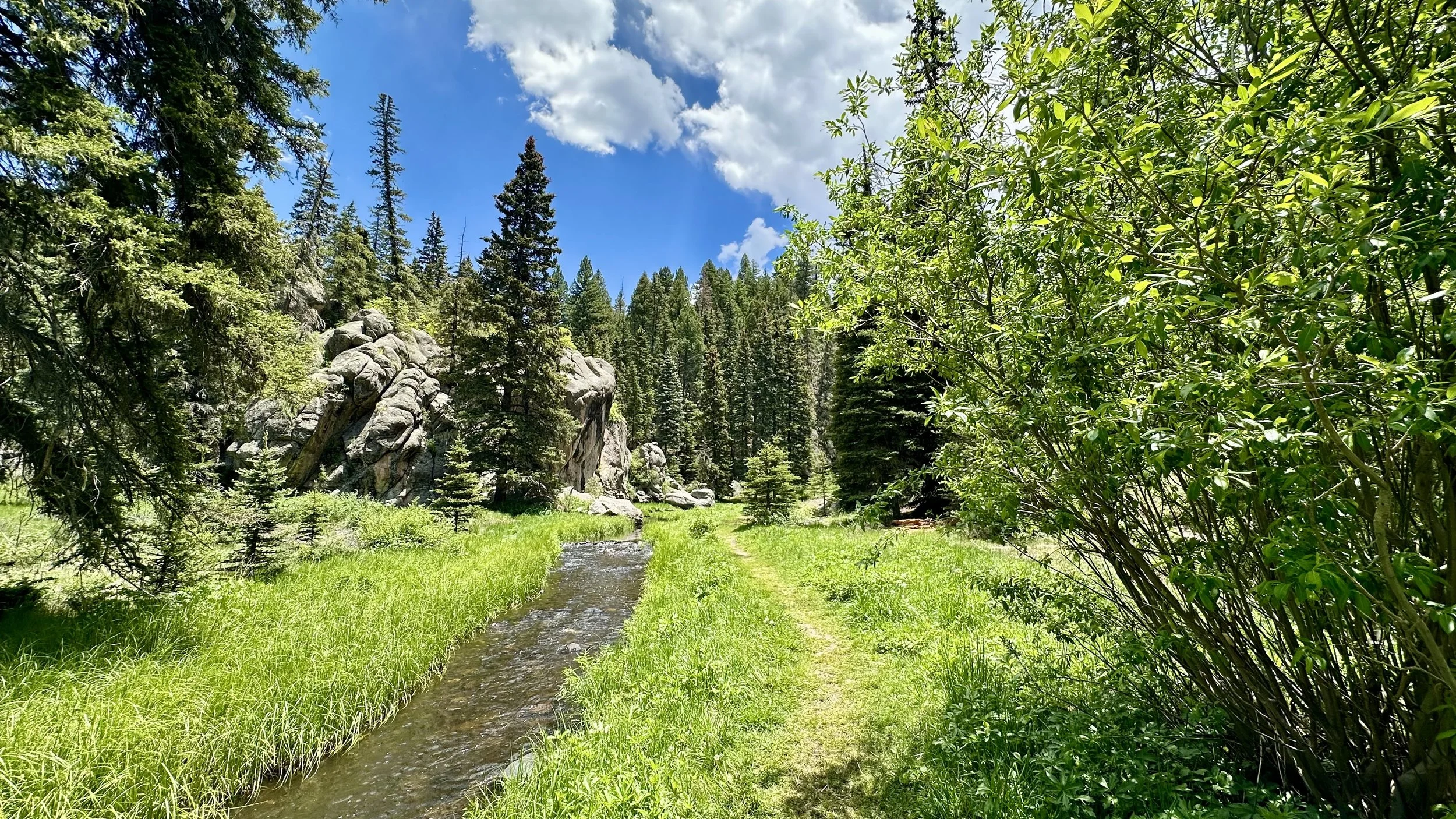 Five of my Favorite Hikes in New Mexico