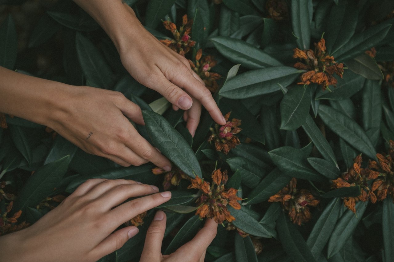 hands grasping plants