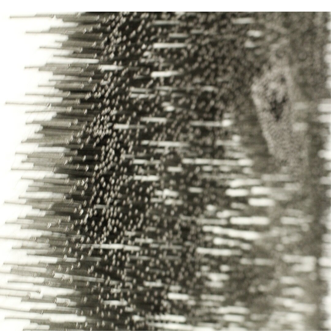 Untitled+design+%2821%29.jpg