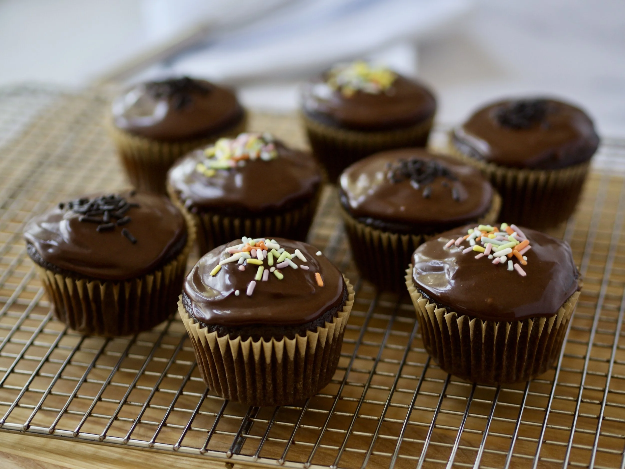 Small Batch Chocolate Cupcakes with Fudge Frosting — Joby's Test Kitchen