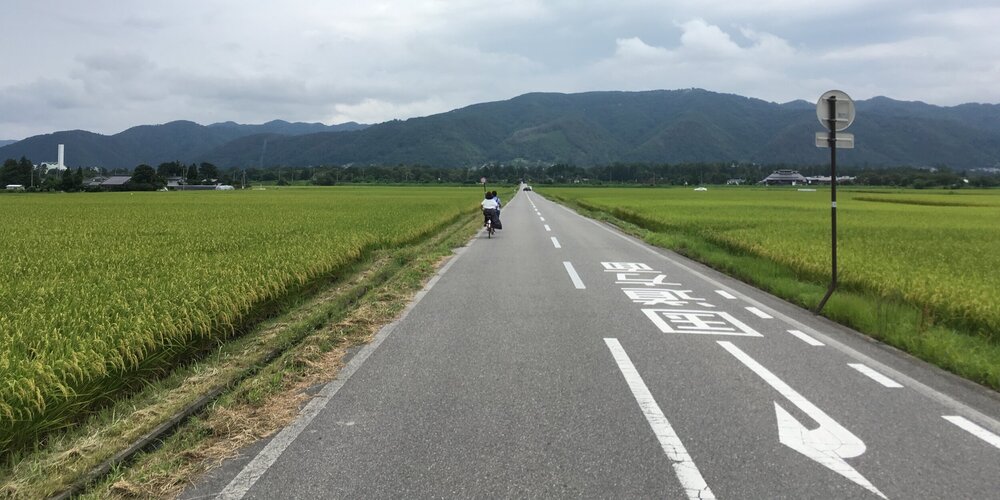 Japan rice paddy fields