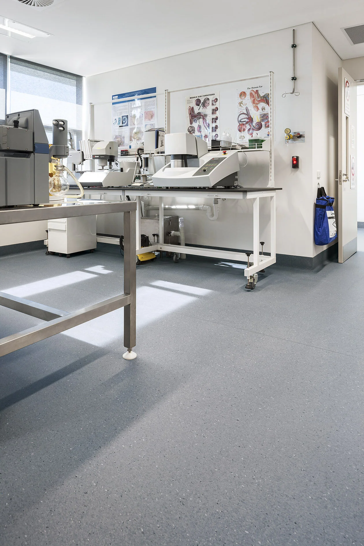 Tarktt-Cochlear Lab_068.jpg