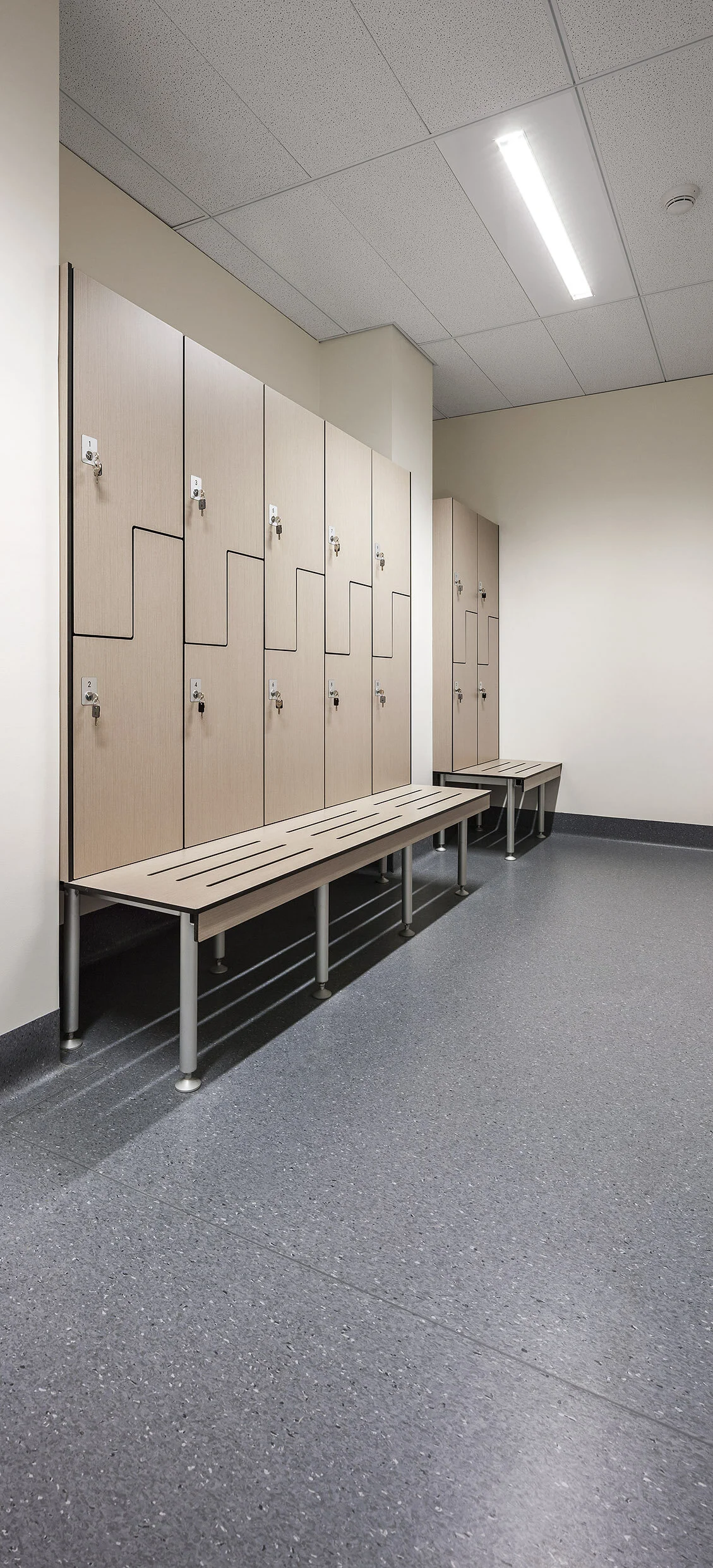 Tarktt-Cochlear Lab_118-STCH.jpg