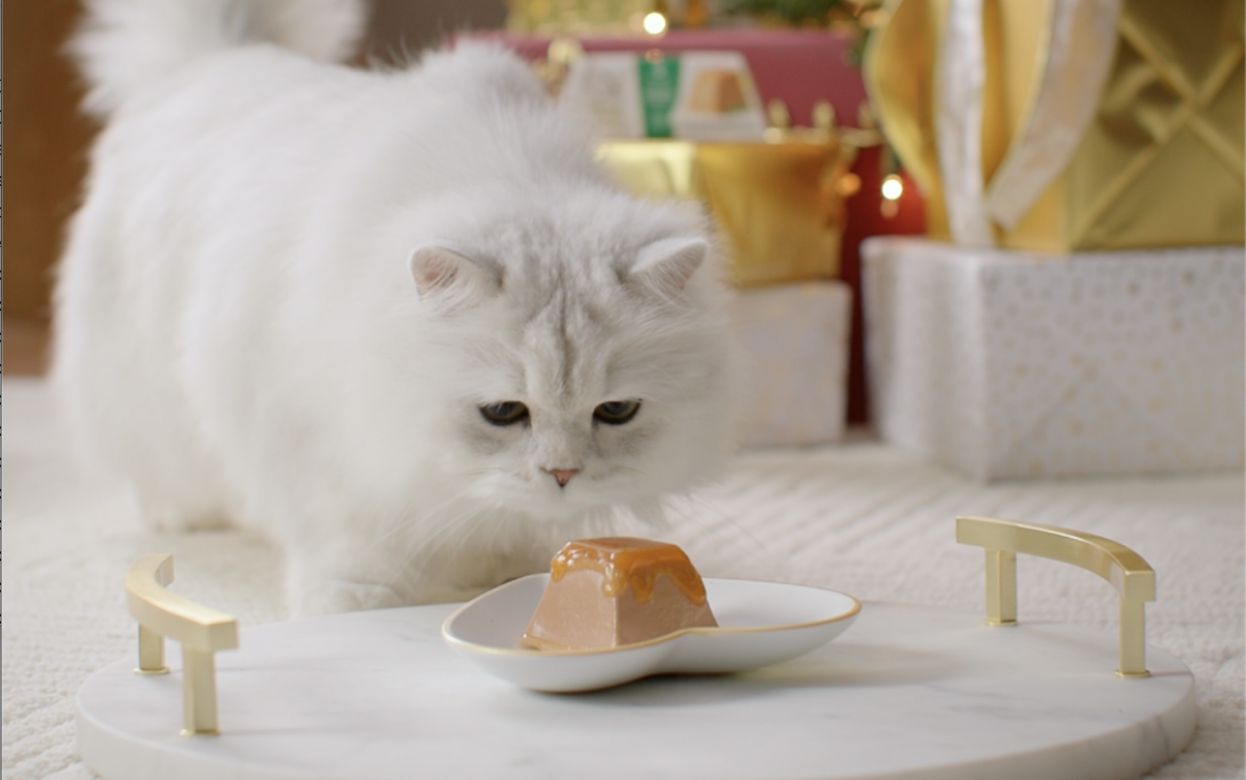 Purina Fancy Feast | AD, Condé Nast