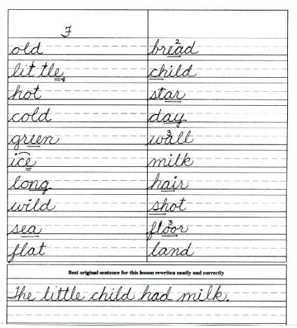 Primary Learning Log — Wise Spelling