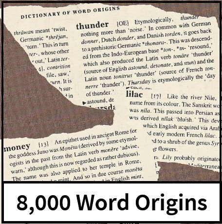 Dictionary of Word Origins back square.jpg