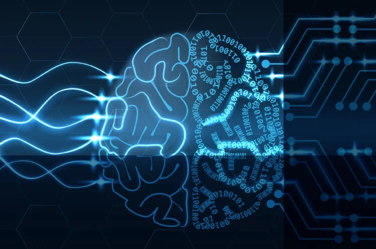 LGPD: OS IMPACTOS PARA O TITULAR DOS DADOS E PARA AS EMPRESAS