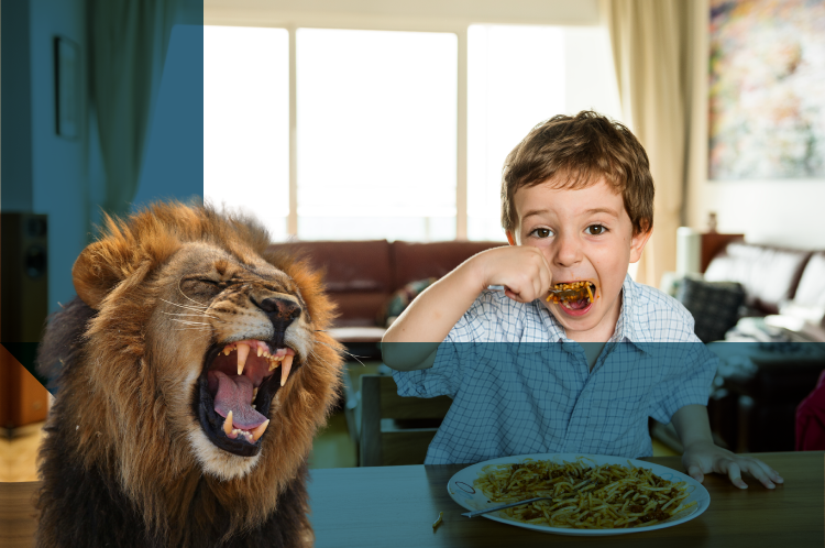 STF AFASTA A APLICAÇÃO DO IMPOSTO DE RENDA SOBRE PENSÕES ALIMENTÍCIAS