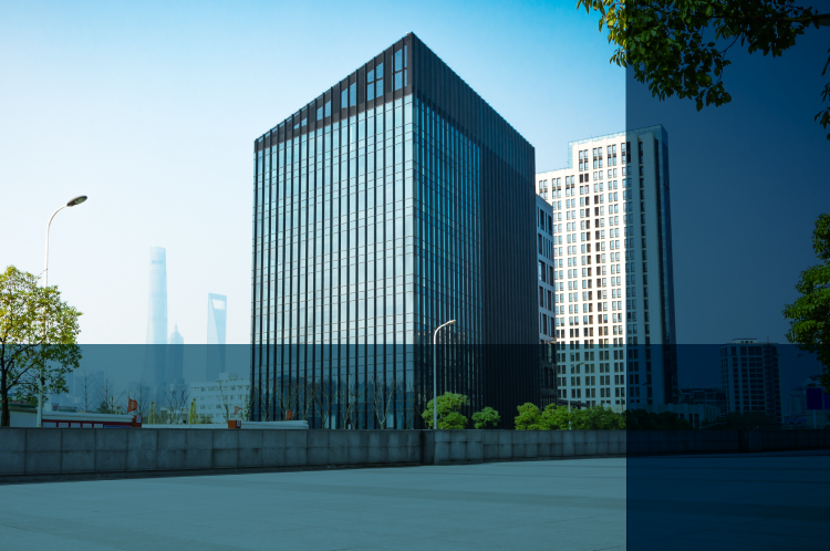 É possível a distribuição desproporcional de dividendos entre acionistas de uma S/A?