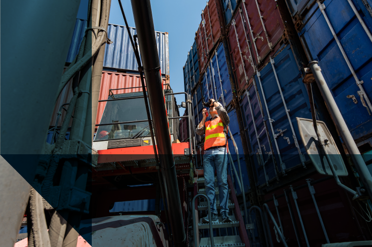 PUBLICADO DECRETO EXCLUINDO AS DESPESAS DE CAPATAZIA DO VALOR ADUANEIRO