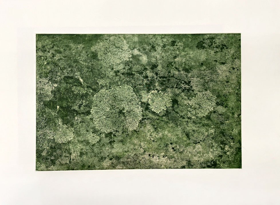  Photogravure with chine collé  Plate: 12 x 18 inches; sheet: 20 x   26 inches   