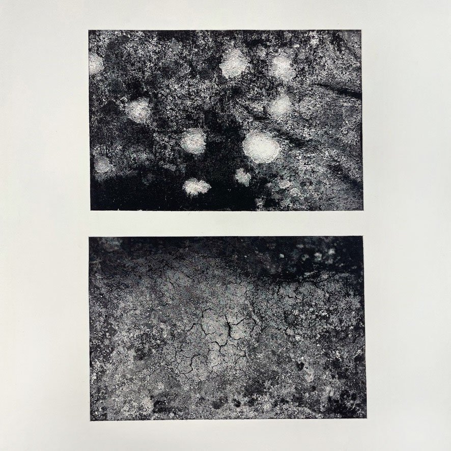  Photogravure  Plate (each): 9 x 12 inches; sheet: 30 x 22 inches 