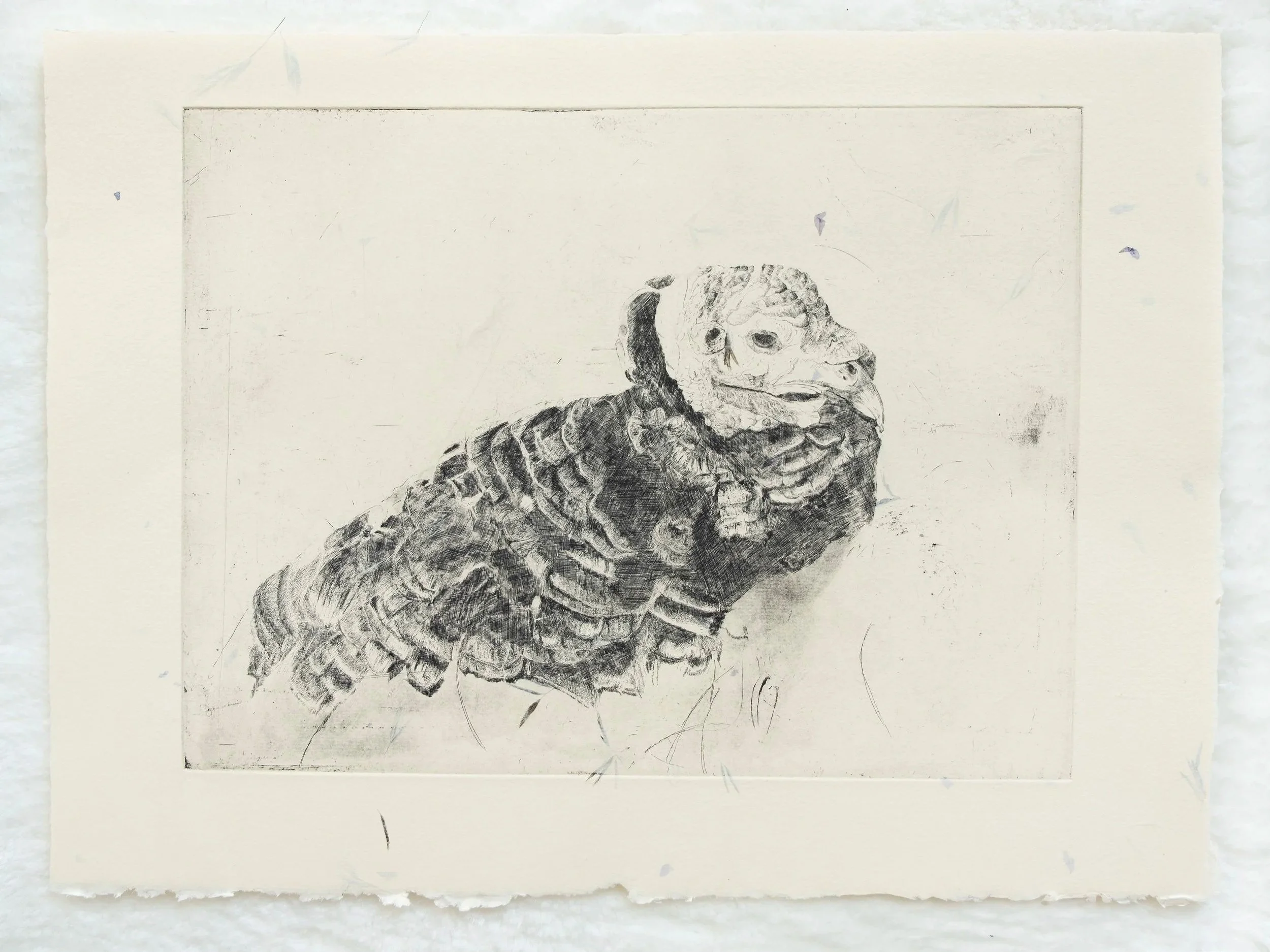  Etching 