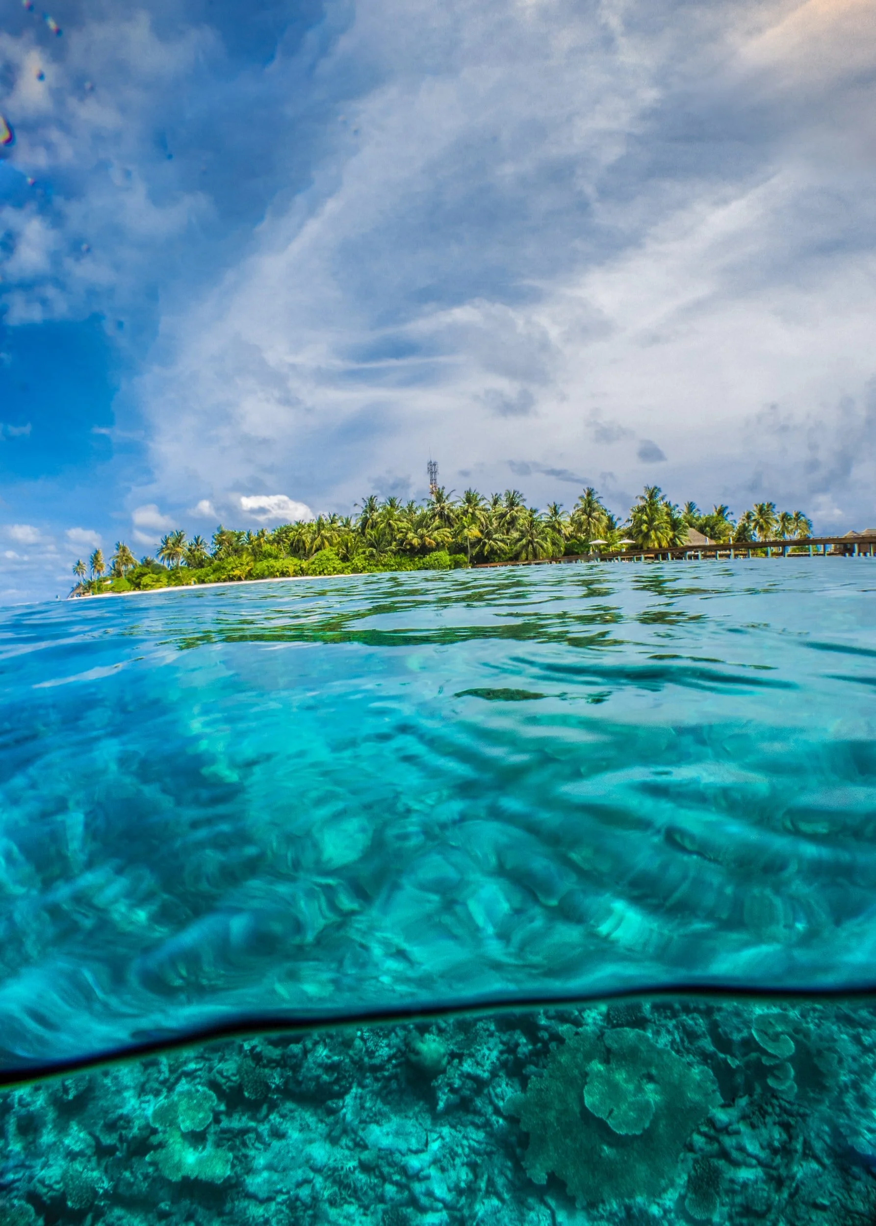 Escape the Winter! Discover The 7 Best Places to Dive in June.