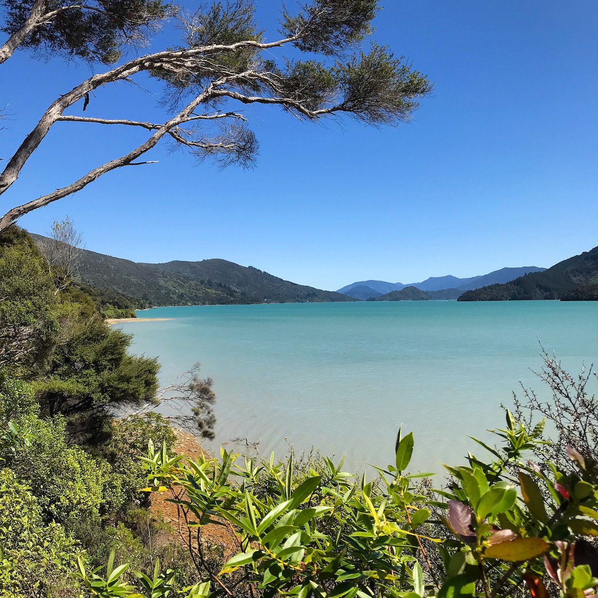 10 things I Learnt After Moving to the Marlborough Sounds