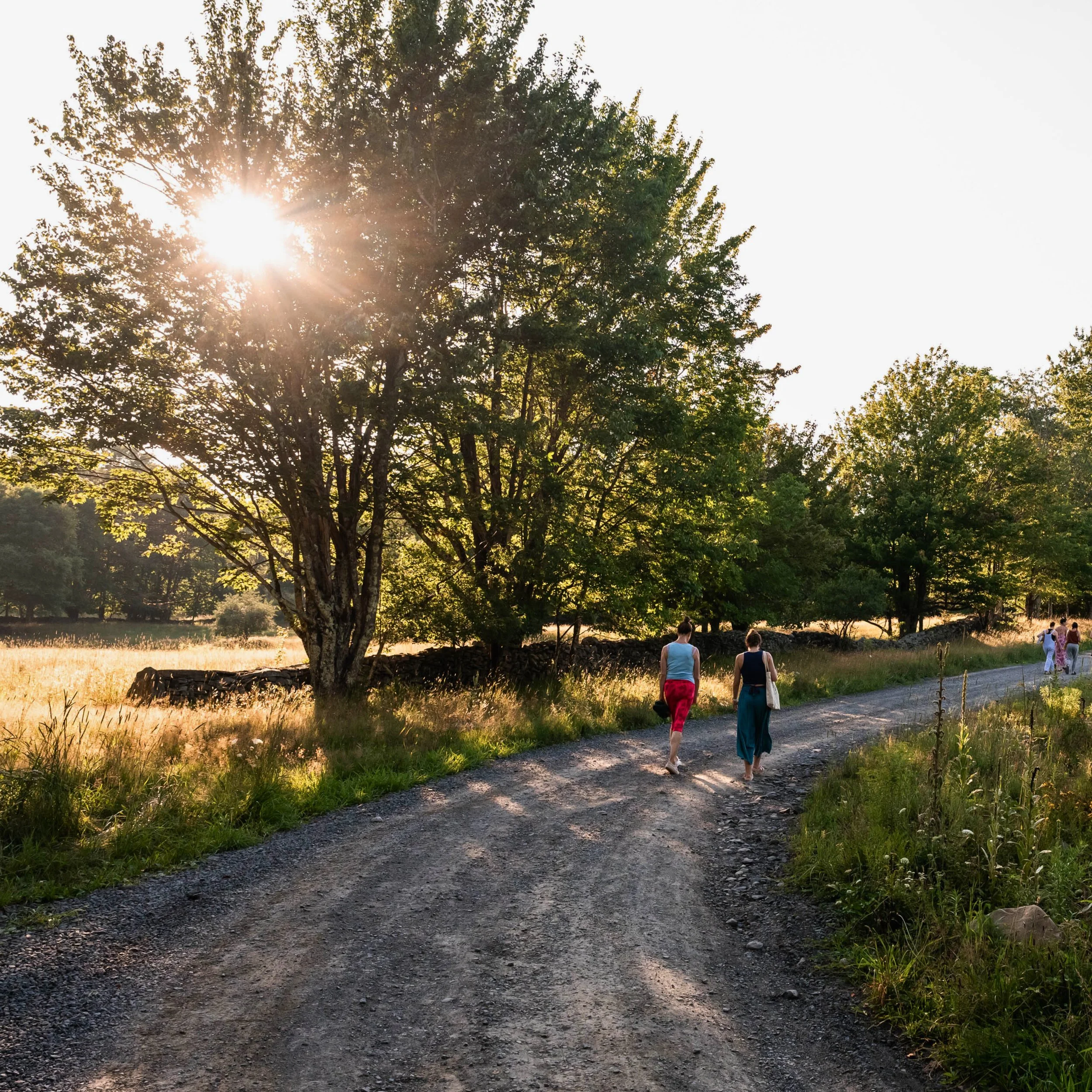 Rooted Heart Yoga Retreat (price per person)