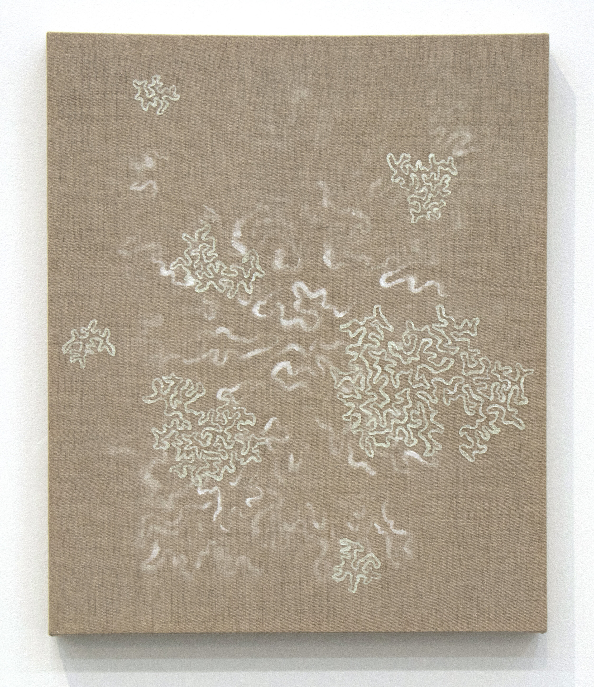 Foliose