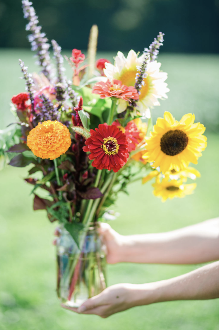 Screenshot 2024-06-07 at 2.58.28 PM.png