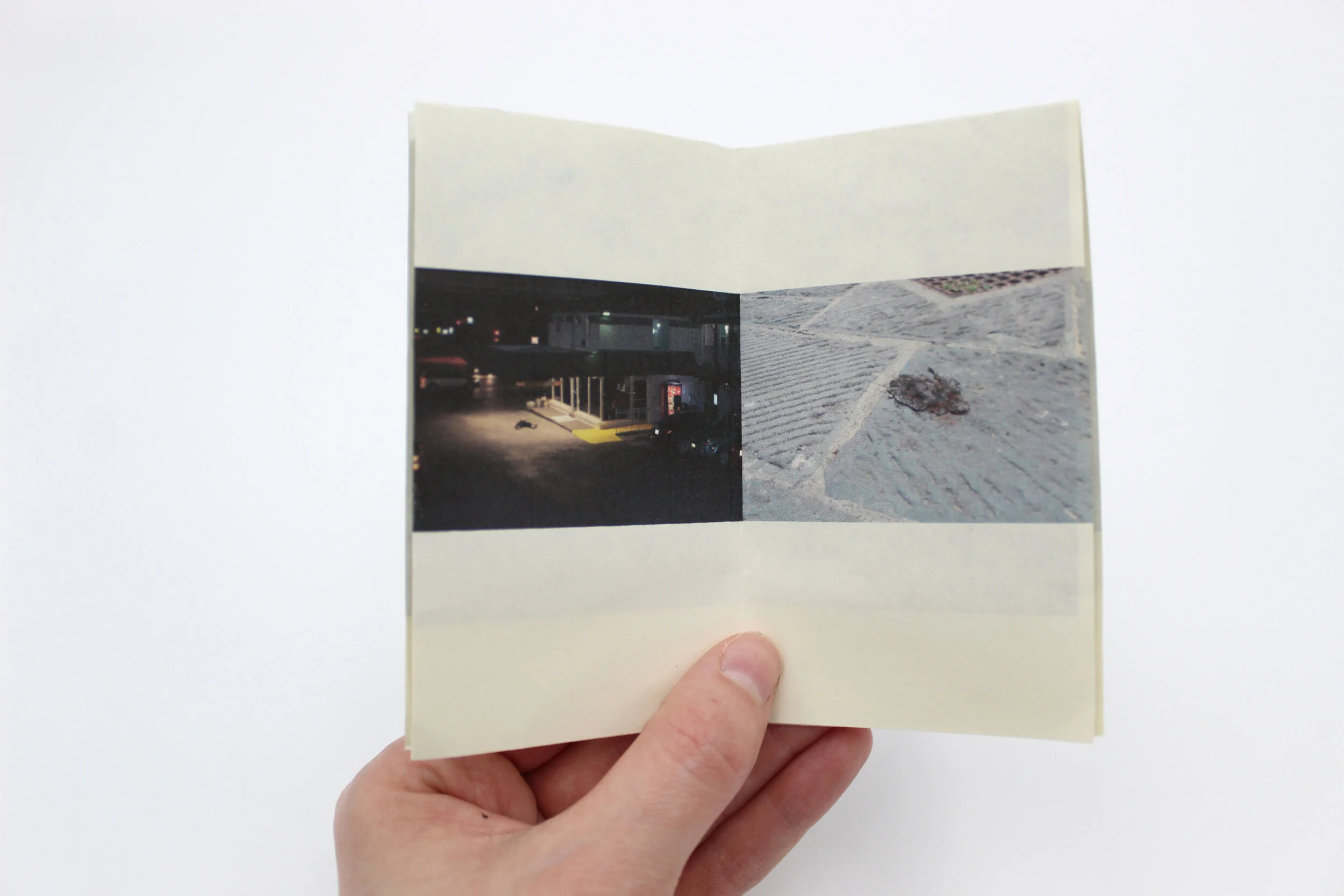 Sorry I Compared You to a Dead Bird, Inkjet Print

4 1/4x 2 inches, 2020

Edition of 11