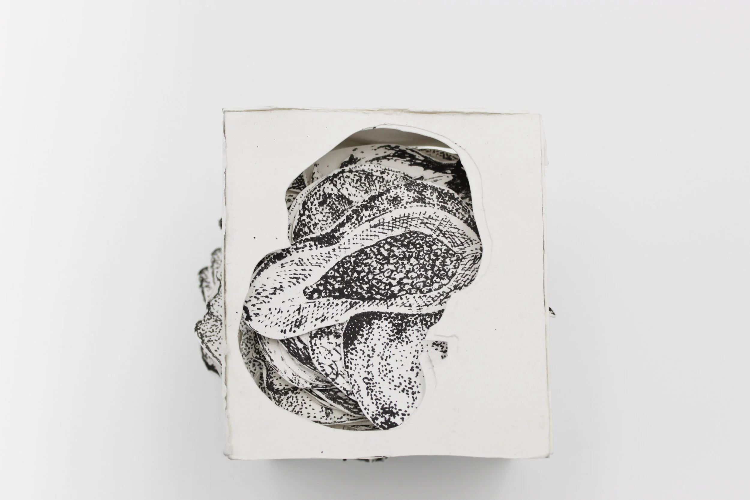 Fruit Box, Photolithograph, 4x4x4 inches , 2019