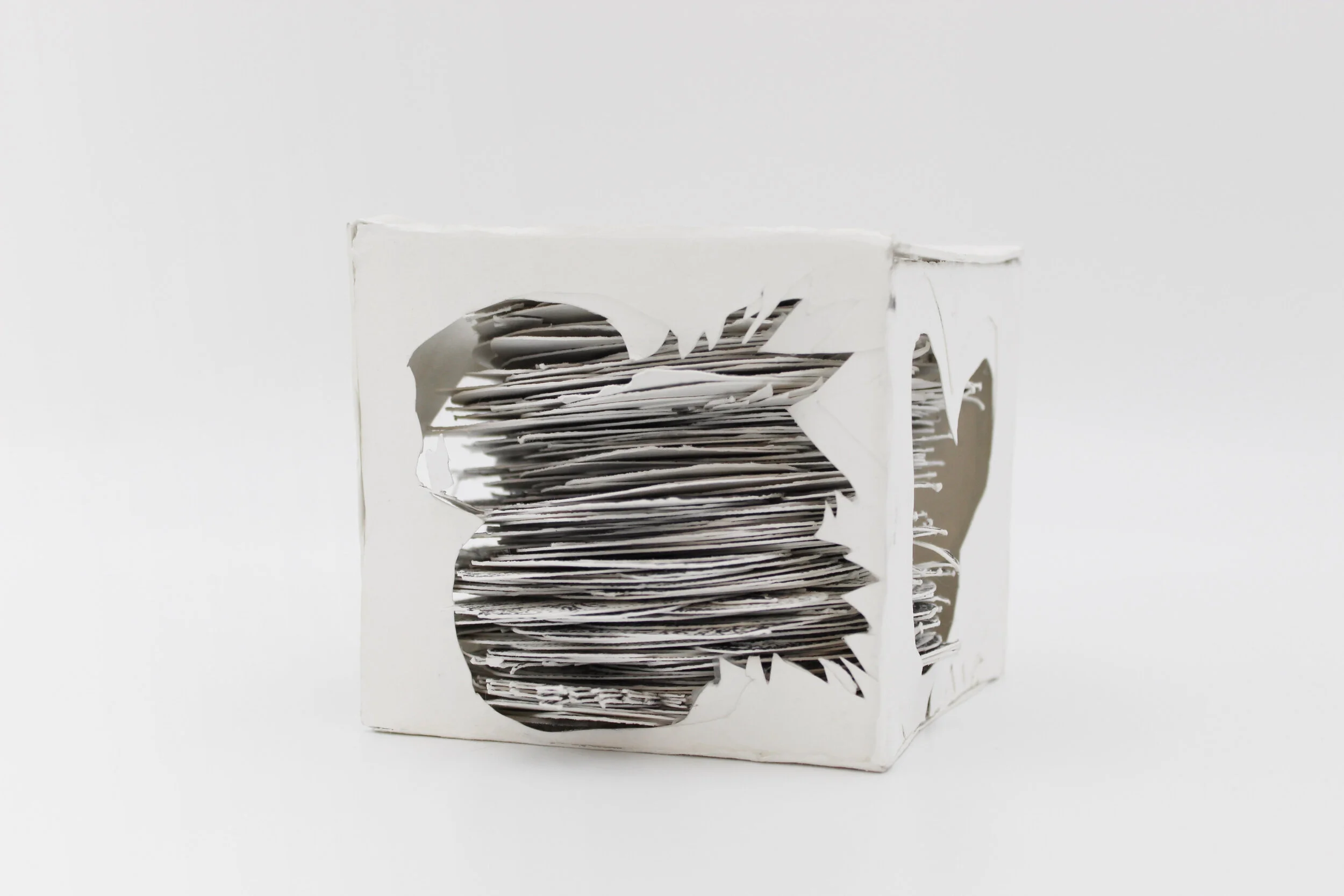 Fruit Box, Photolithograph, 4x4x4 inches , 2019