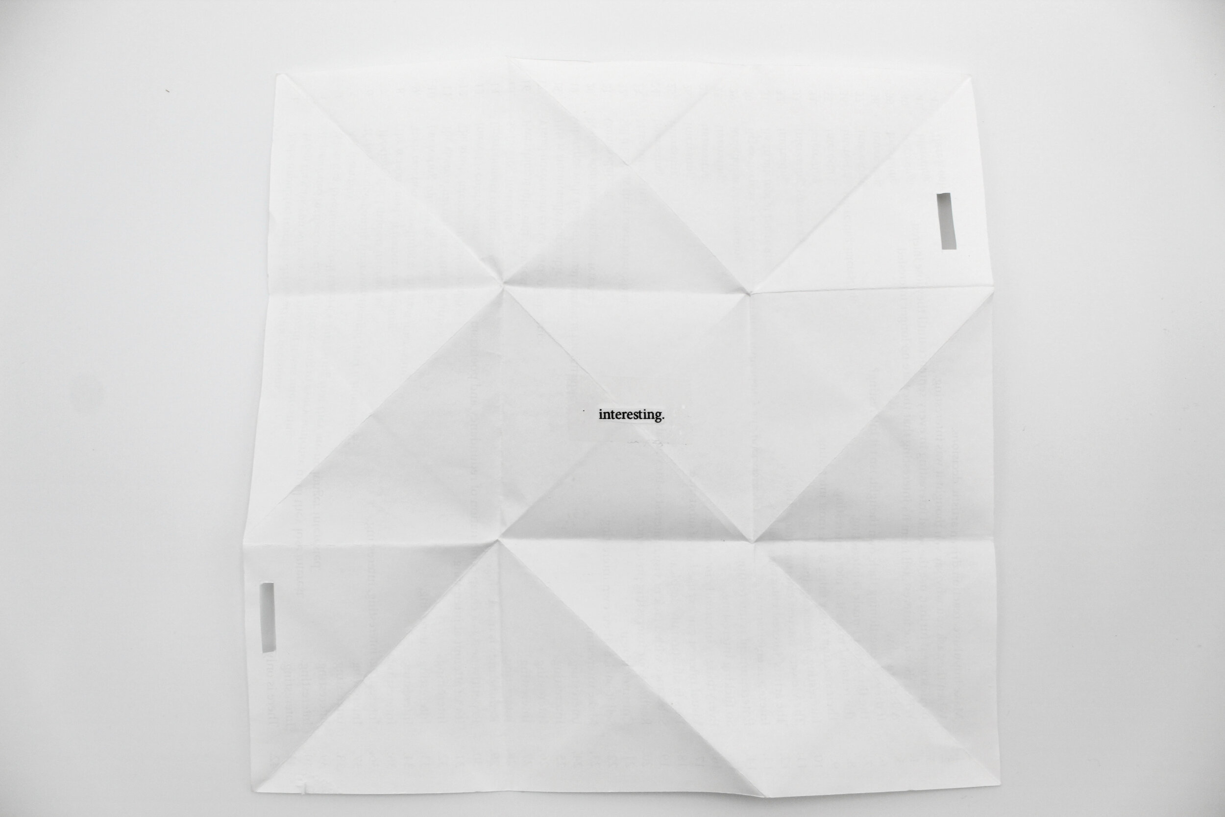 Interesting Manifesto, Ink Jet Print

8.5x 11 inches, 2018

Edition of 50