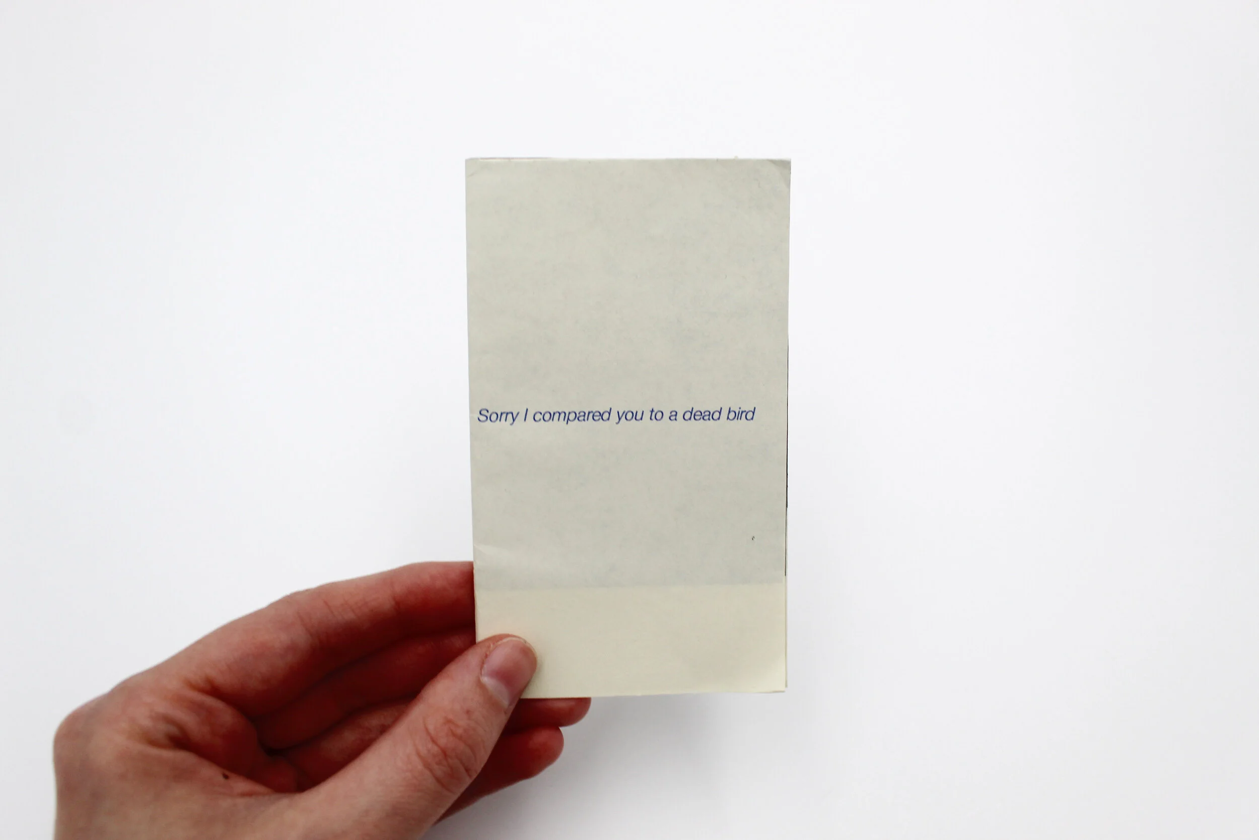 Sorry I Compared You to a Dead Bird, Inkjet Print

4 1/4x 2 inches, 2020

Edition of 11